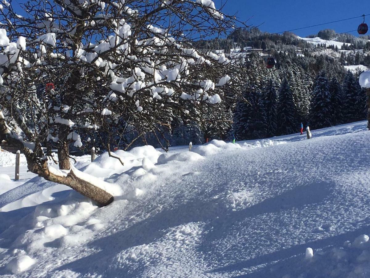 Beim Rohrer Apartman Kirchberg in Tirol Kültér fotó