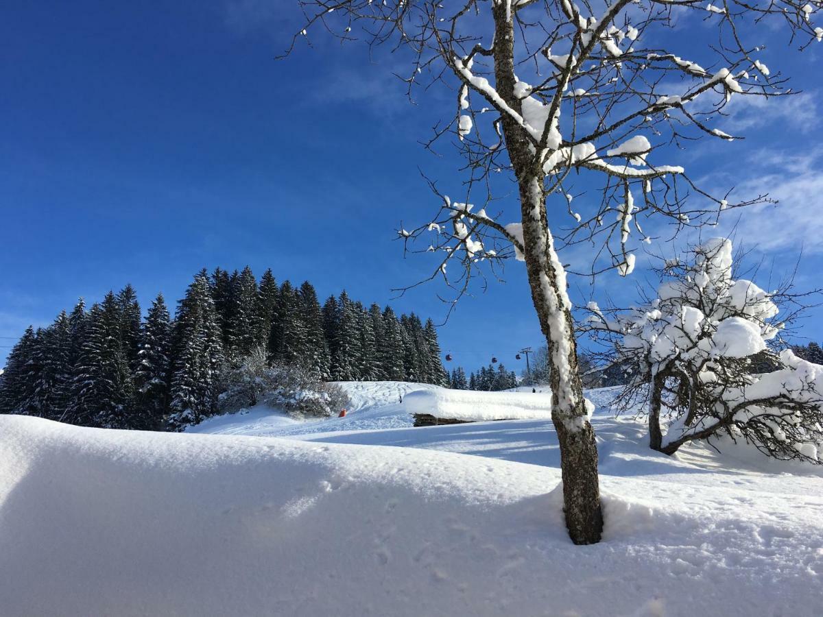 Beim Rohrer Apartman Kirchberg in Tirol Kültér fotó