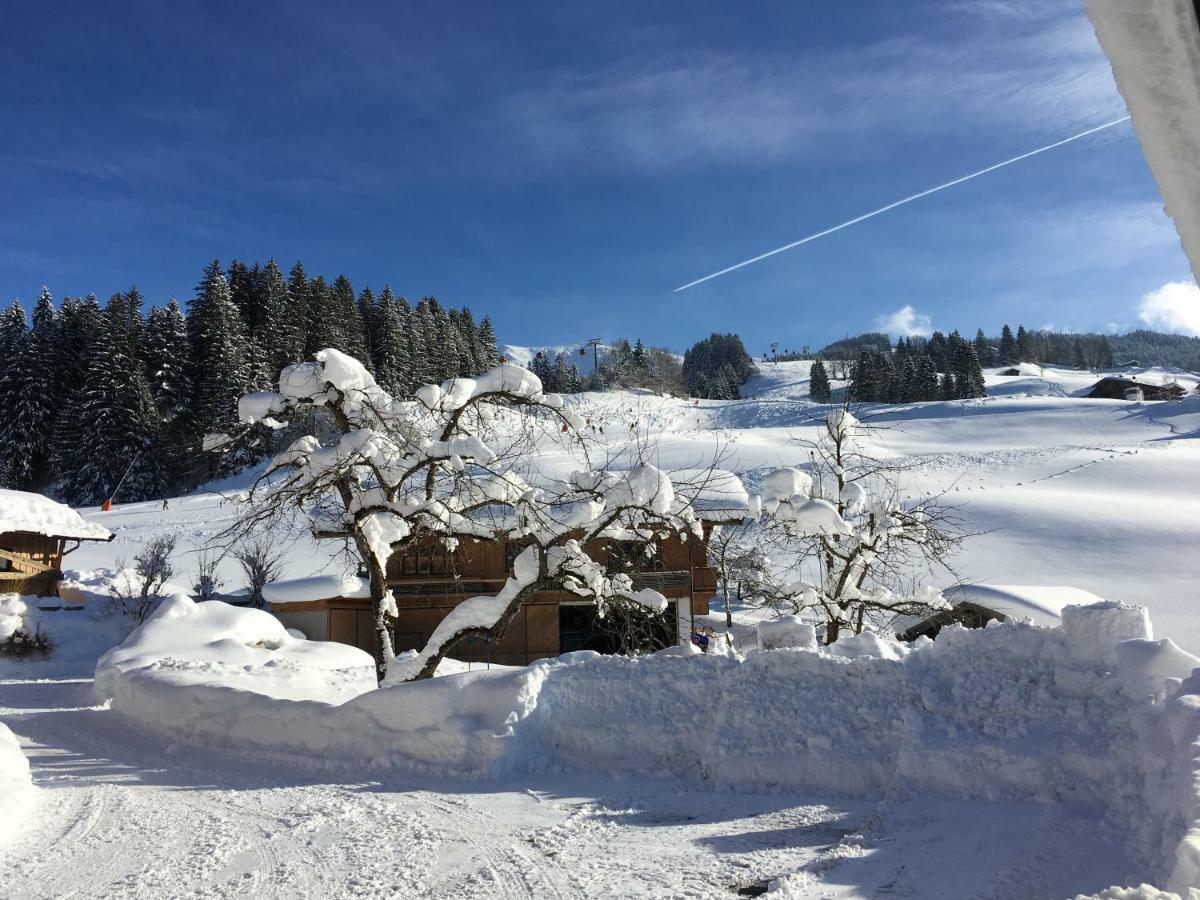 Beim Rohrer Apartman Kirchberg in Tirol Kültér fotó