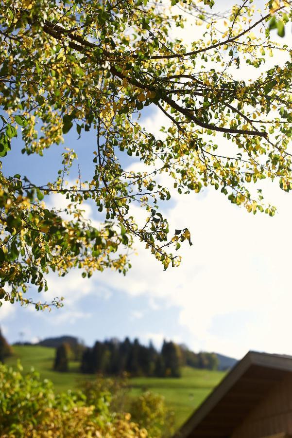 Beim Rohrer Apartman Kirchberg in Tirol Kültér fotó