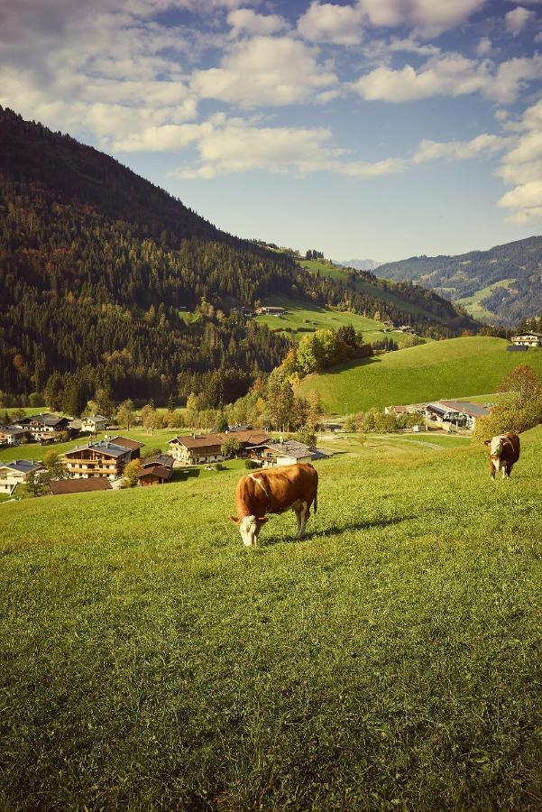 Beim Rohrer Apartman Kirchberg in Tirol Kültér fotó